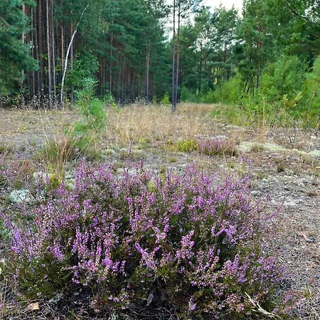 Pur, Haus Mit Grossen Garten Am Wald بيت للعطل