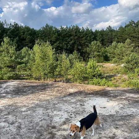 Prázdninový dům Pur, Haus Mit Grossen Garten Am Wald *