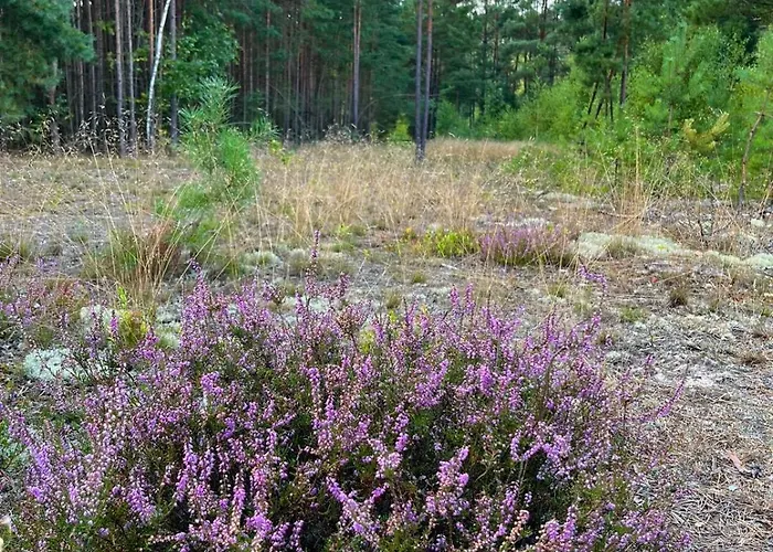 Pur, Haus Mit Grossen Garten Am Wald Дом отдыха