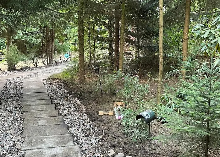 Pur, Haus Mit Grossen Garten Am Wald Langendorf (Lower Saxony)