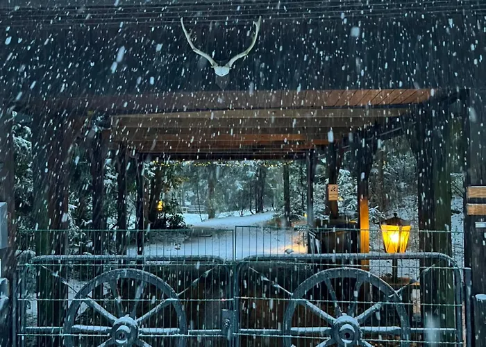 Pur, Haus Mit Grossen Garten Am Wald *